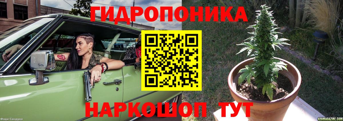 Шишки марихуана тримм Вятские Поляны